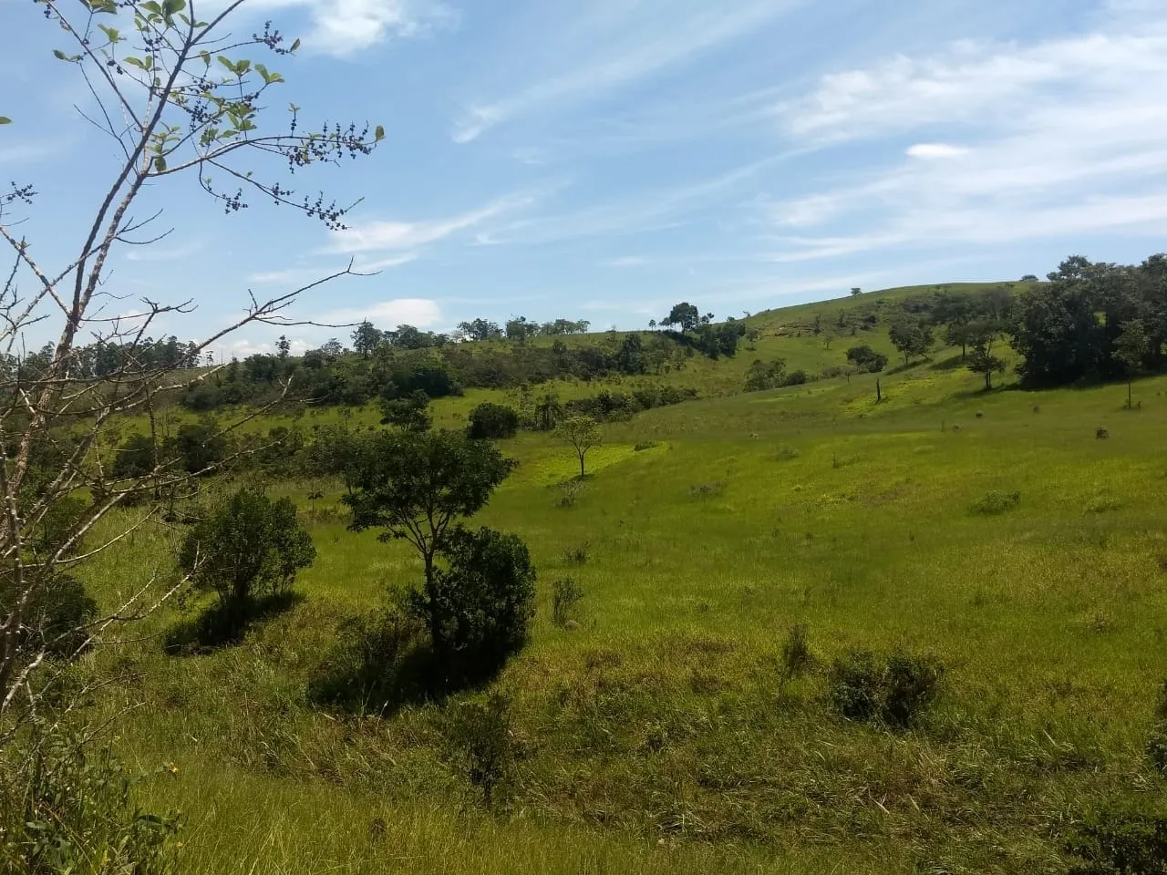 Imagem Chácara à venda 400000M², Barreiro, Taubaté - SP