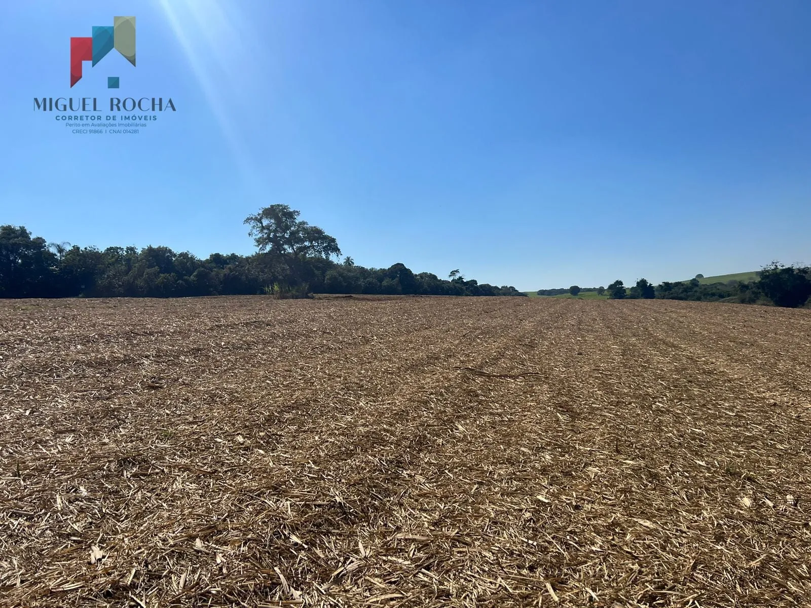 Imagem Fazenda região de Avaré SP