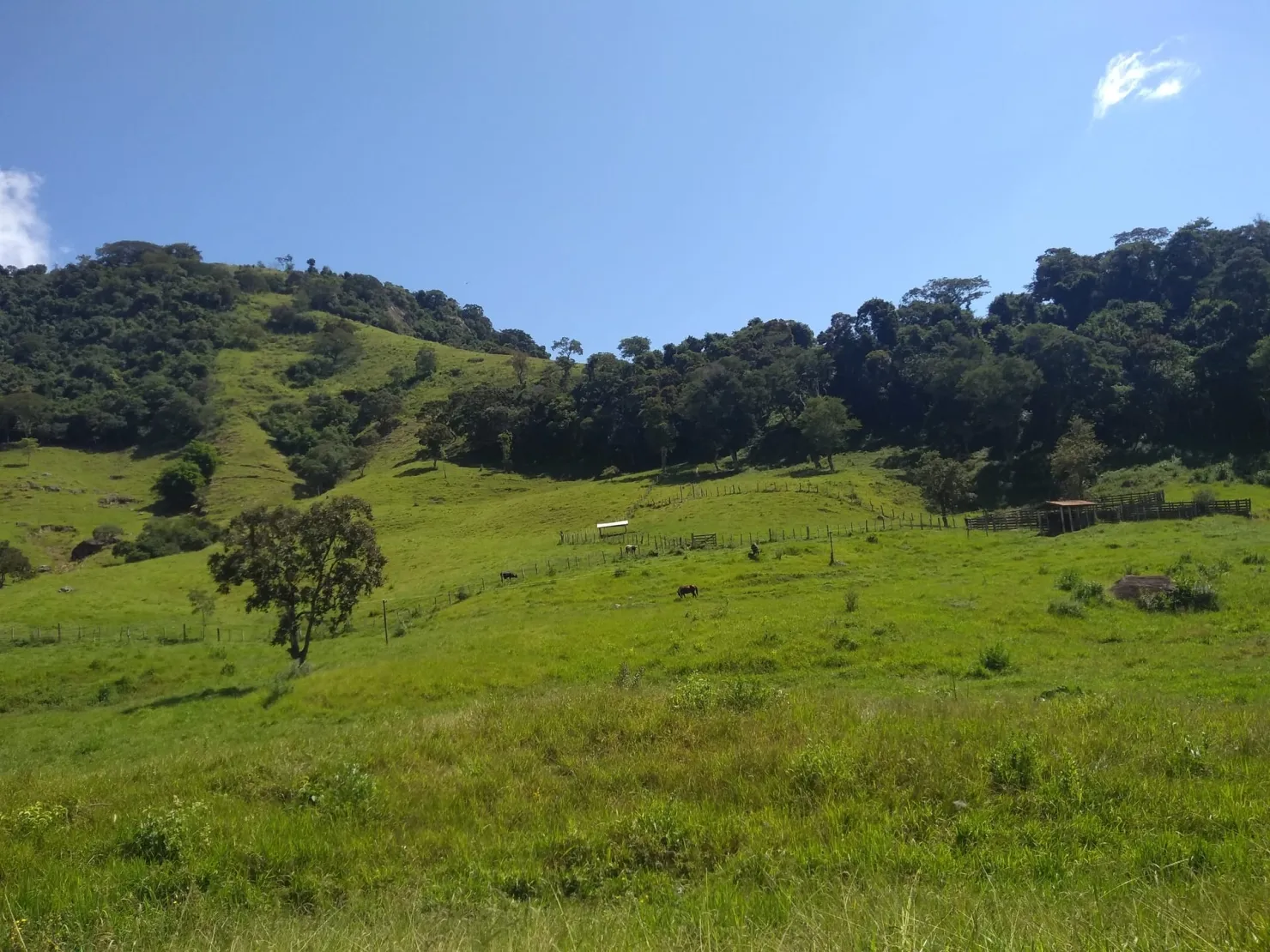 Imagem Chácara à venda 2 Quartos, 768000M², Zona Rural, Cunha - SP