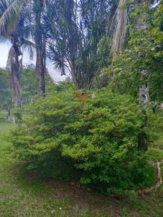 Imagem Vendo ou troco Chácara no Alpes das Águas em São Pedro