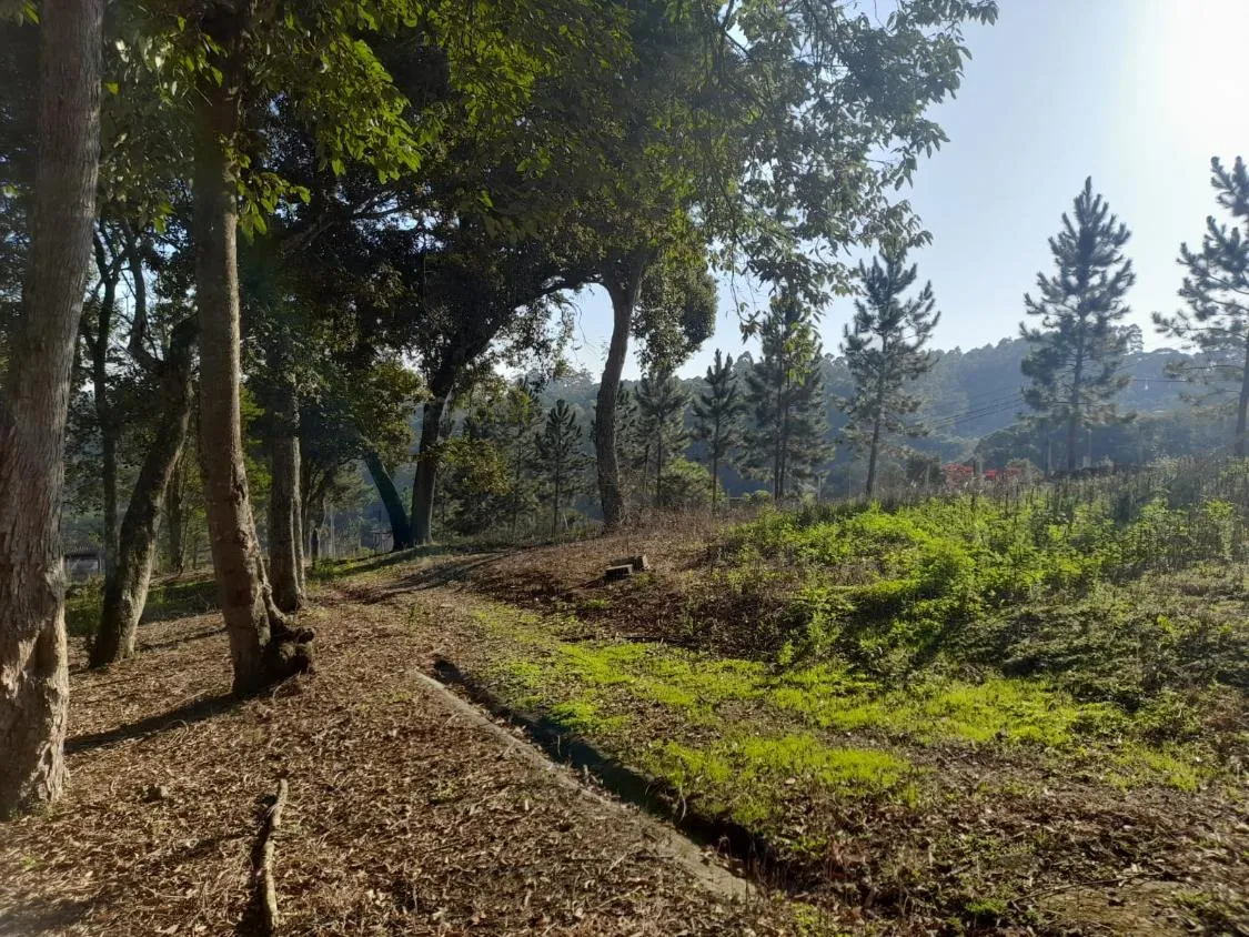 Imagem CHÁCARA EM CONDOMÍNIO - BAIRRO DA RESSACA - IBIUNA