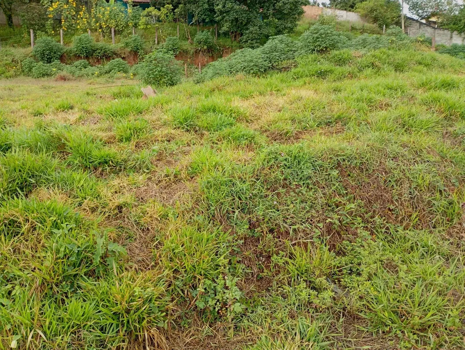 Imagem Chácara à Venda, 474 m² em Morada dos Pássaros - Poços de Caldas