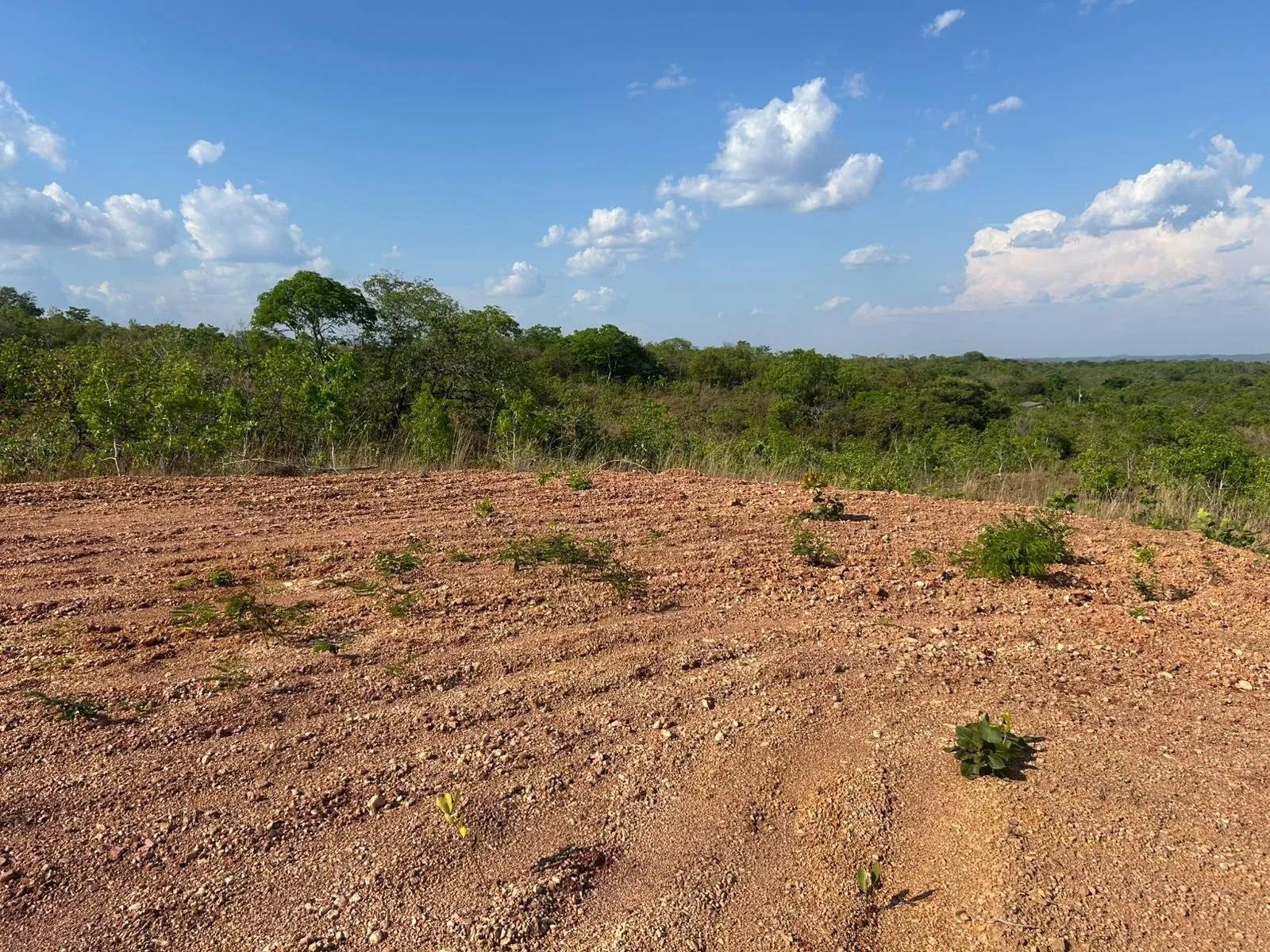 Imagem Terreno na estrada do manso