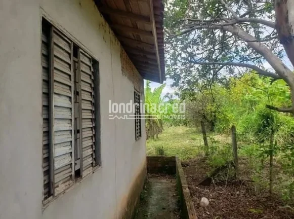 Imagem Excelente Sítio em Ibiporã-PR: 2 Casas de Alvenaria, 24.200m², Área Verde, Próximo ao Rio Tibagi e a 5km da Via Urbana