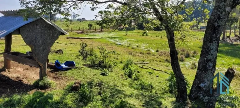 Imagem Chácara a venda 12.1 hectares, 02 casas e barracão, na água amarela em Chapecó - SC