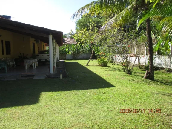 Imagem Yellow House Algodões