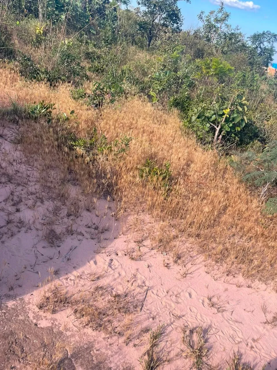 Imagem Lotes no Ecovila Flamboyant