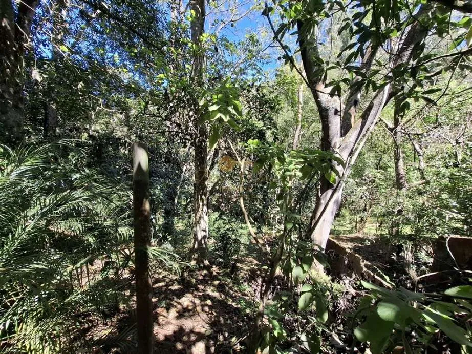 Imagem Casa para Venda em Teresópolis / RJ no bairro Pessegueiros