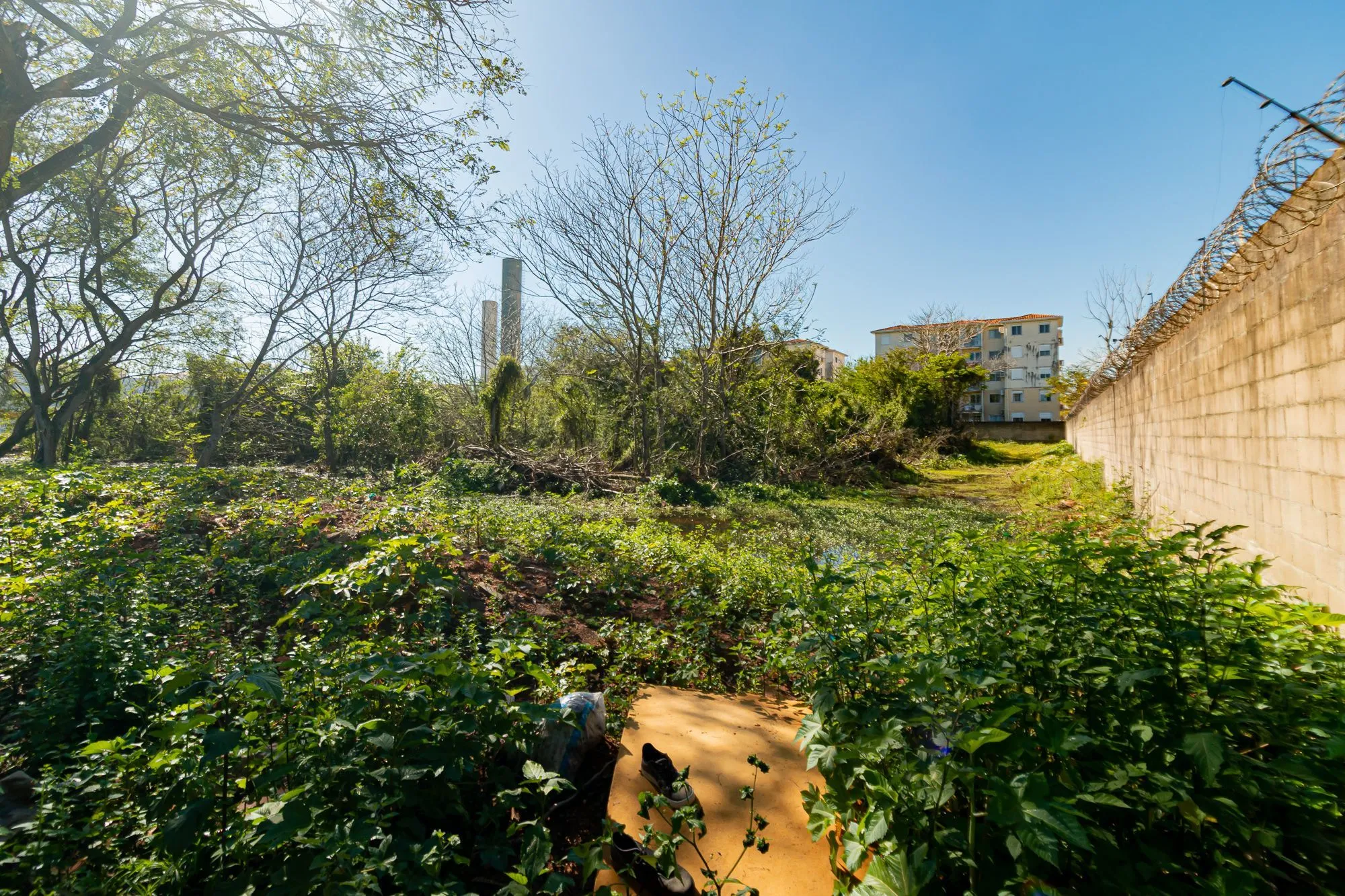Imagem Terreno em Humaitá