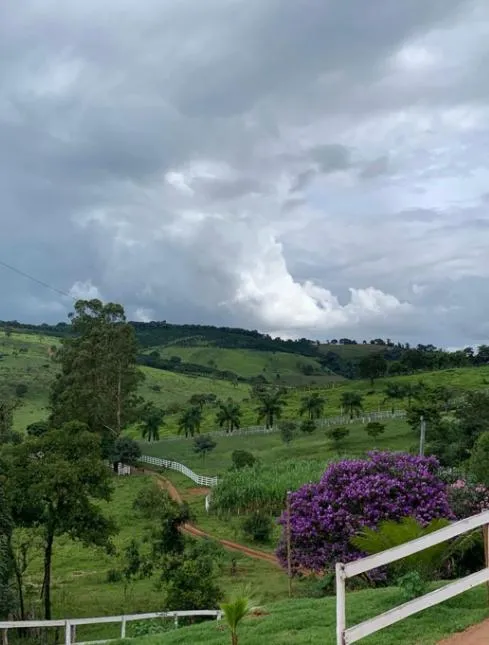 Imagem Vendo uma linda chácara em Piedade dos Gerais , com 2.000 m²