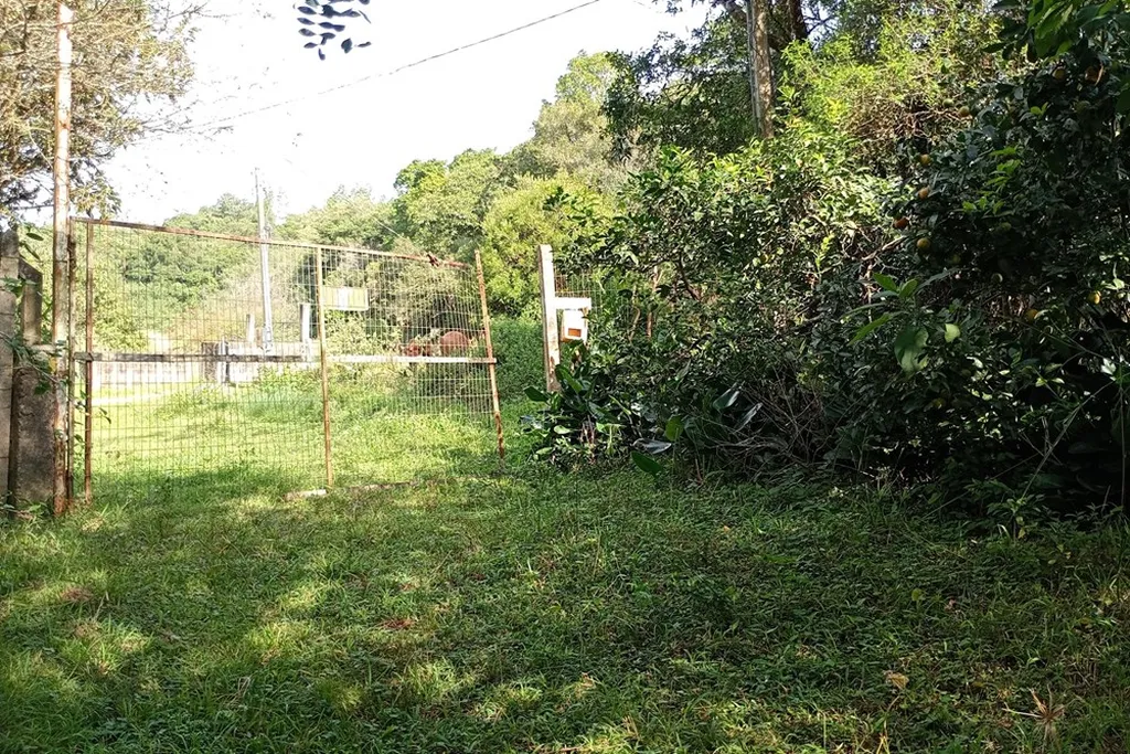 Imagem Fazenda em Belém Novo