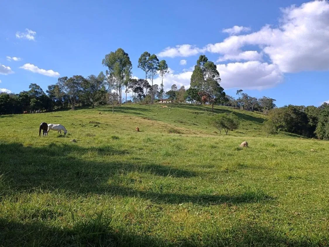 Imagem Excelente Terreno à Venda em Oliveira/MG: 34 Hectares com Boa Disponibilidade de Água