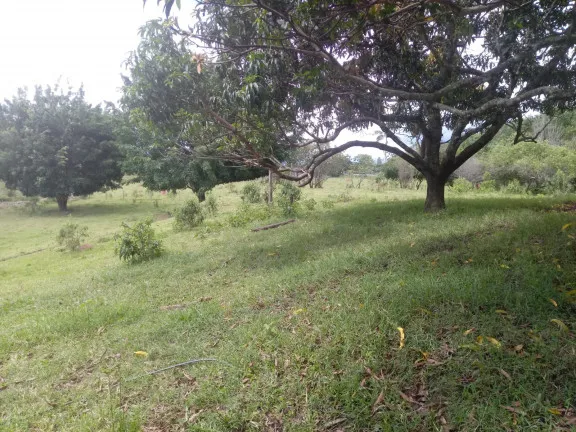 Imagem Chácara com 4 Quartos à Venda, 25.000 m²em Jardim Palmeiras - Caçapava