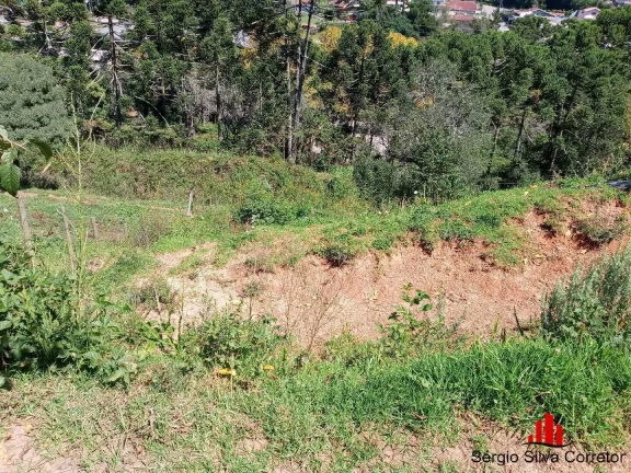 Imagem Terreno a Venda na Vila Loli por R$ 120.000,00 em Campos do Jordão/SP.