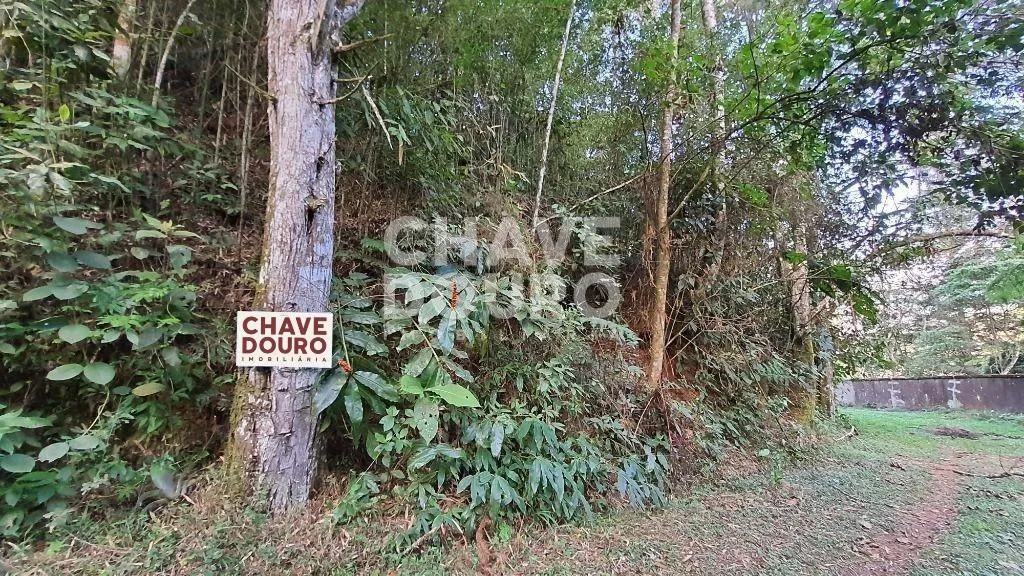 Foto do imóvel Oportunidade! Lote de terreno com 4.970 m² pertinho da UNIFESO do Alto, R$ 250.000 em Cascata dos Amores, Teresópolis - RJ