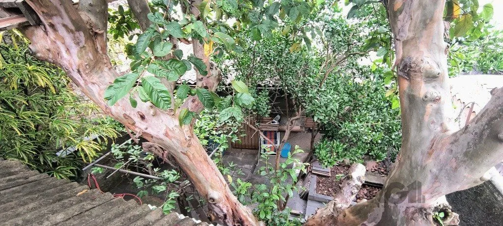 Imagem Casa em Floresta