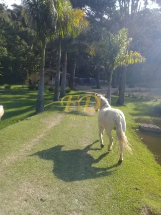 Imagem Belíssimo Sitio com 300.000m² na Região do Clube da Montanha