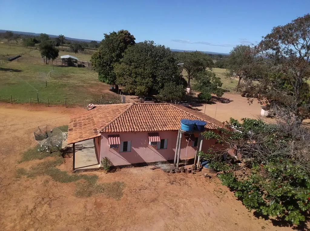 Imagem FAZENDA À VENDA - VÁRZEA DA PALMA (MG) 313 hectares de área total