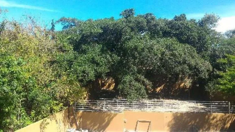 Imagem Apartamento para Venda - 53.12m², 2 dormitórios, Ipanema