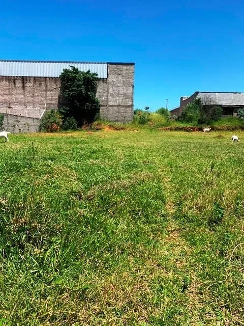Imagem Terreno à venda 1.146,15 m², Cidade Nova, Pindamonhangaba - SP