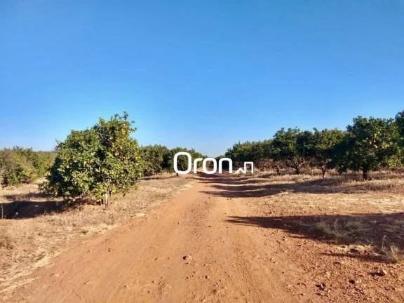 Imagem Fazenda com 5 dormitórios à venda, 3500000 m² por R$ 65.000.000,00 - Goiânia - Goiânia/GO