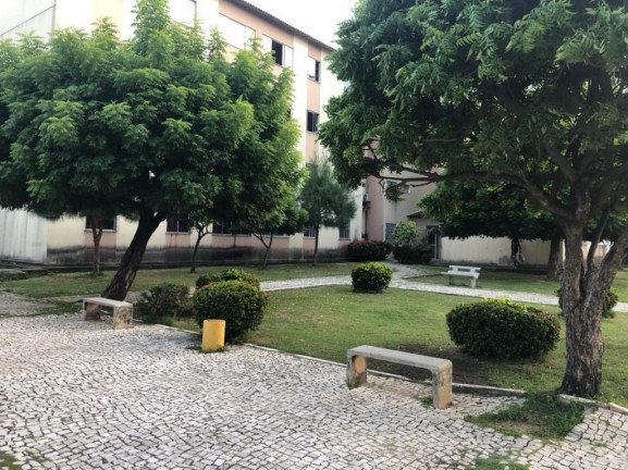 Apartamento com 3 Quartos à Venda, 65 m² em Cajazeiras - Fortaleza