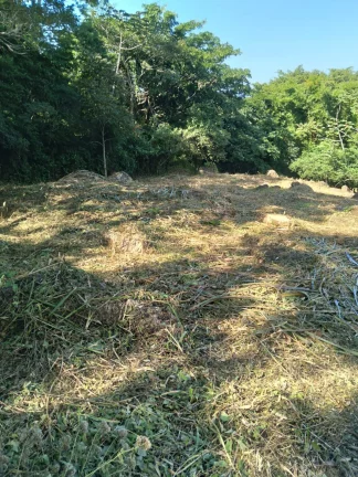 Imagem Oportunidade Única: Terreno à Venda no Bairro Macacu em Garopaba/SC! 1.639,00 m² de área. Confira já!