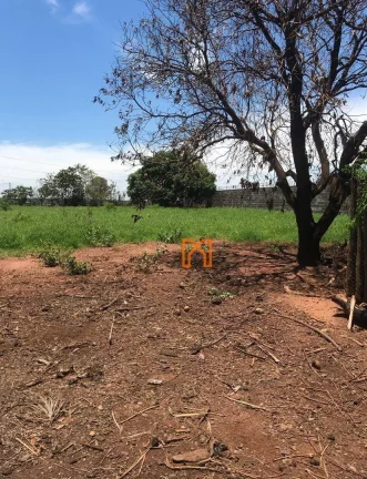 Imagem Terreno à venda, 2500 m² por R$ 600.000,00 - Alto Alegre - Bady Bassitt/SP