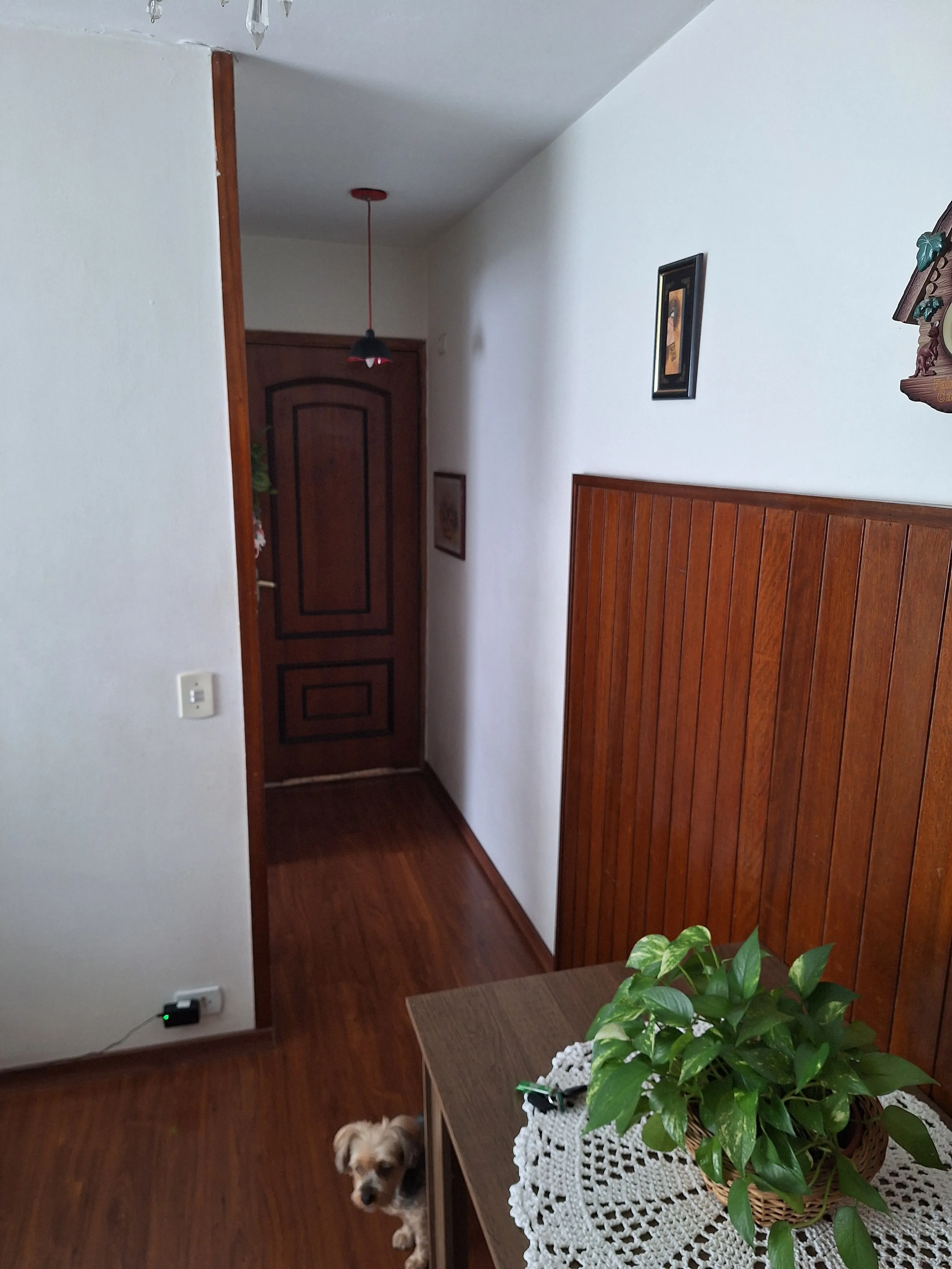 Imagem VENDO EXCELENTE APTO DE 02 DORMITÓRIOS NO RESIDENCIAL INGAÍ!