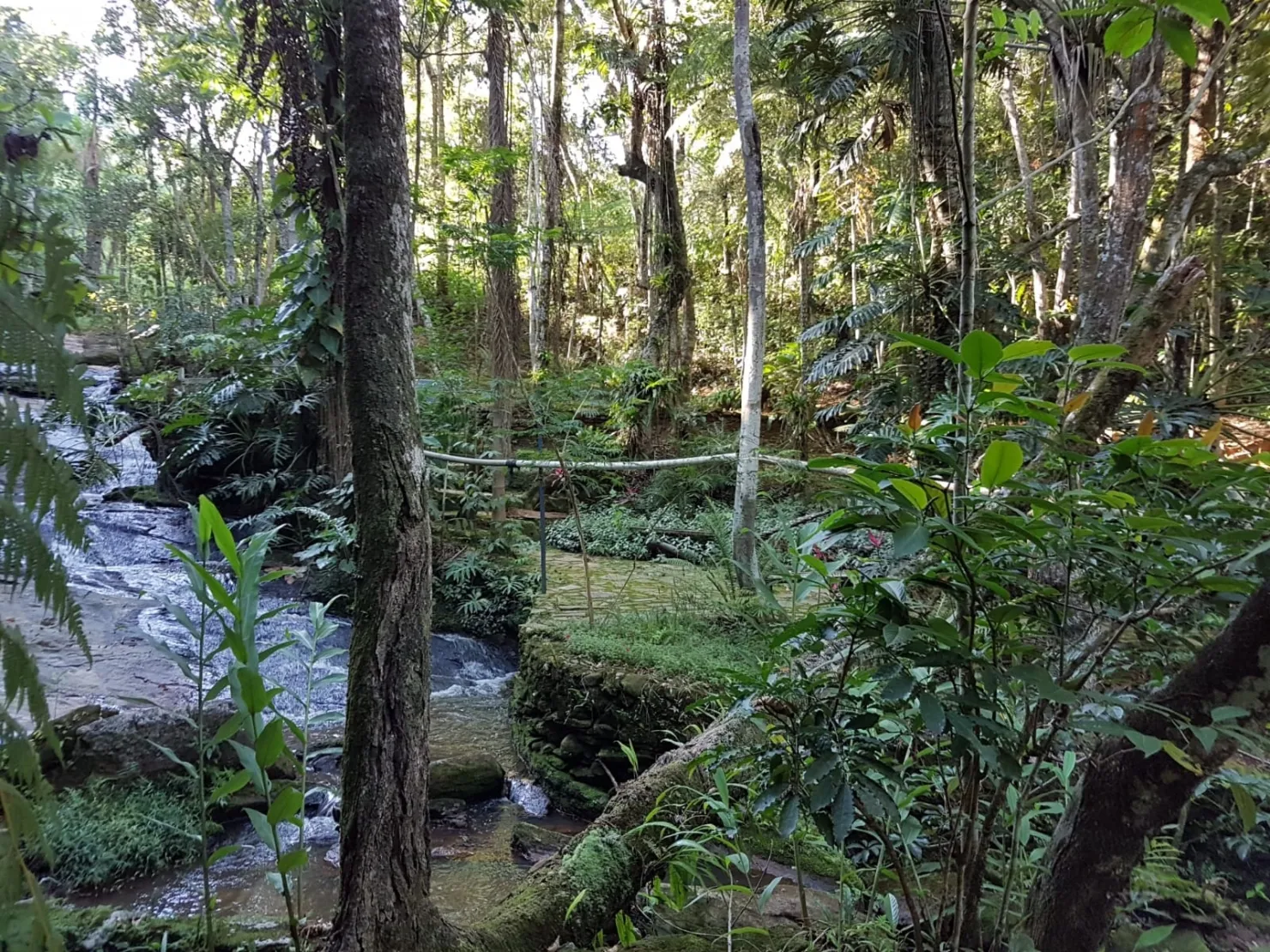 Imagem Chácara à venda 1 Quarto, 57596M², Pinga, Pindamonhangaba - SP