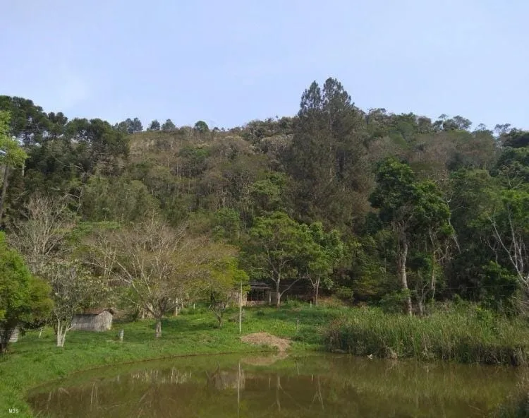 Imagem Chácara à venda, Cedro, Cunha, SP