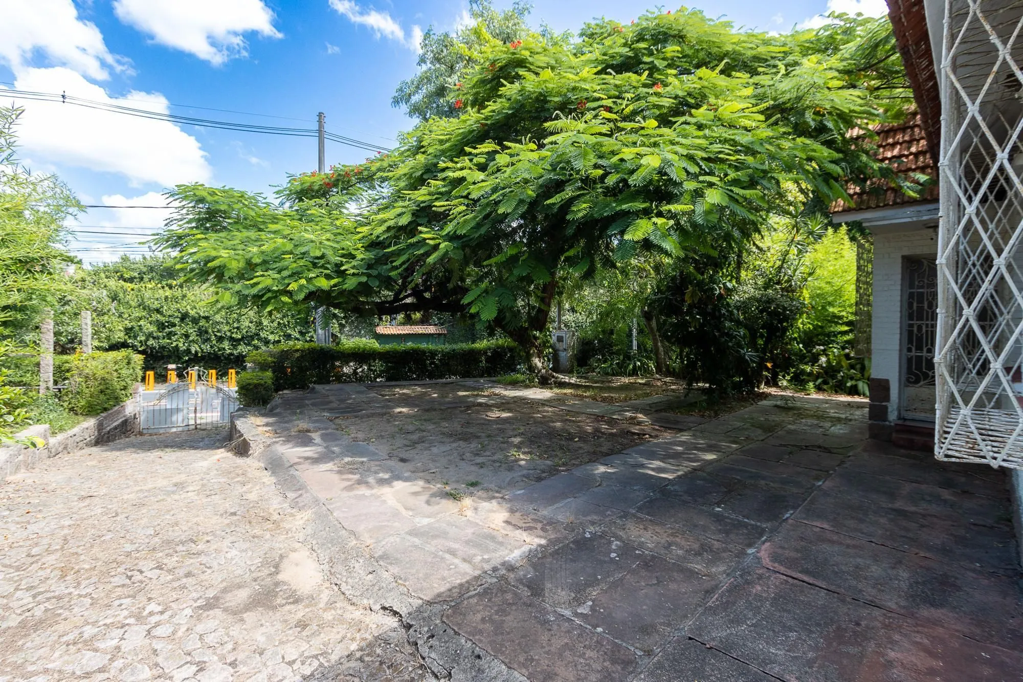 Imagem Terreno bairro Ipanema
