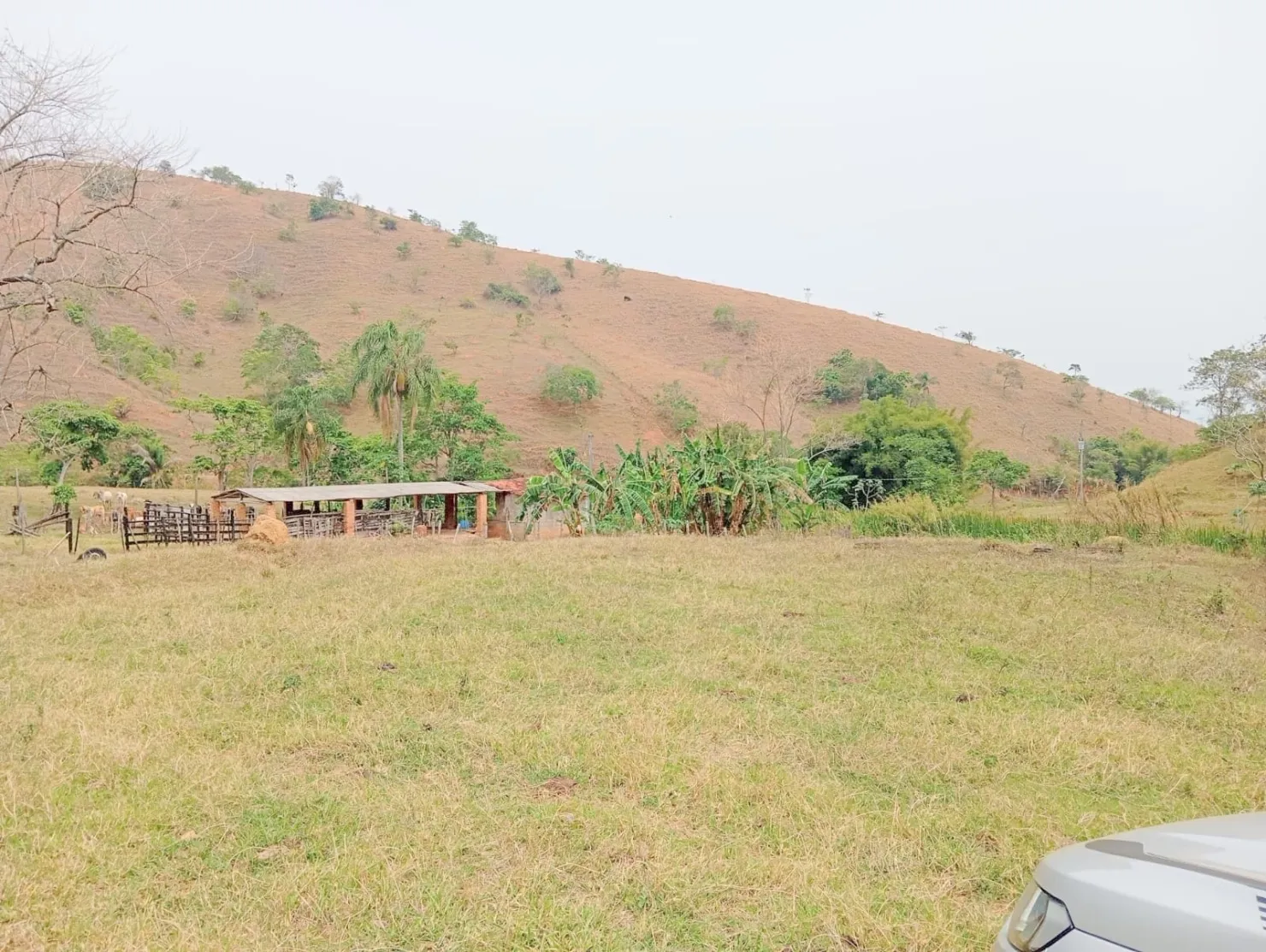 Imagem Fazenda proxima a Dutra paraa venda, , Roseira Velha, SP