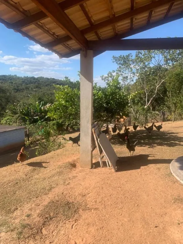 Imagem Vendo ótima chácara em Igarapé/MG com 3.750 m² de área