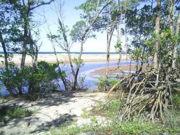 Imagem PARAÍSO PIRACANGA