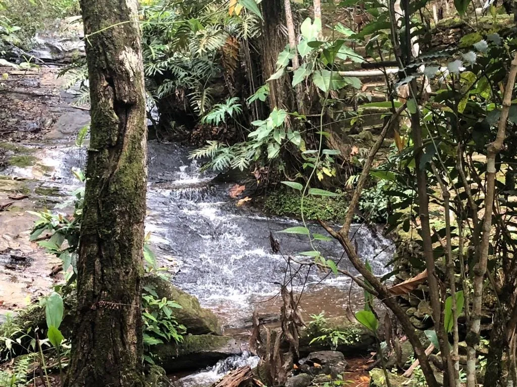 Imagem Chácara à venda 1 Quarto, 57596M², Pinga, Pindamonhangaba - SP