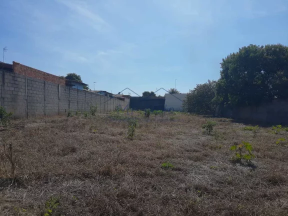 Imagem Terreno Padrão