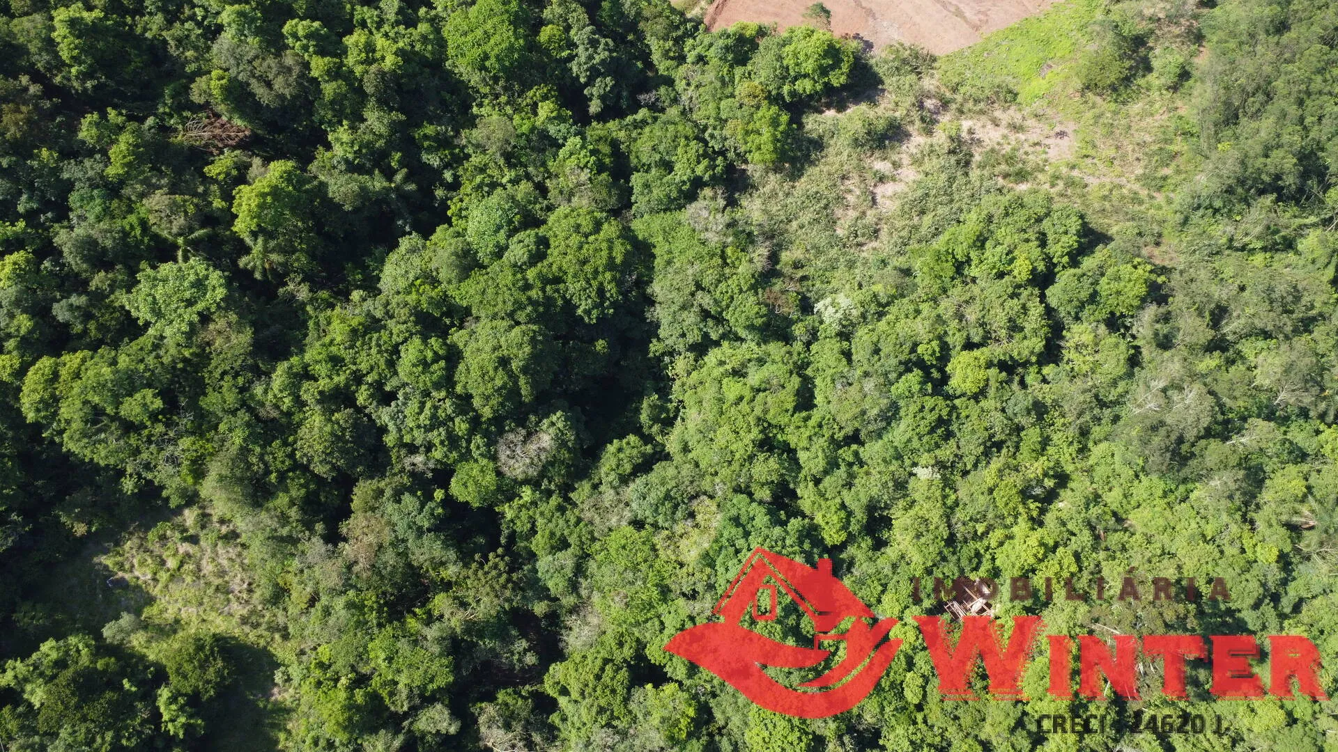 Imagem Área de terras com 10 hectares em Linha Nova