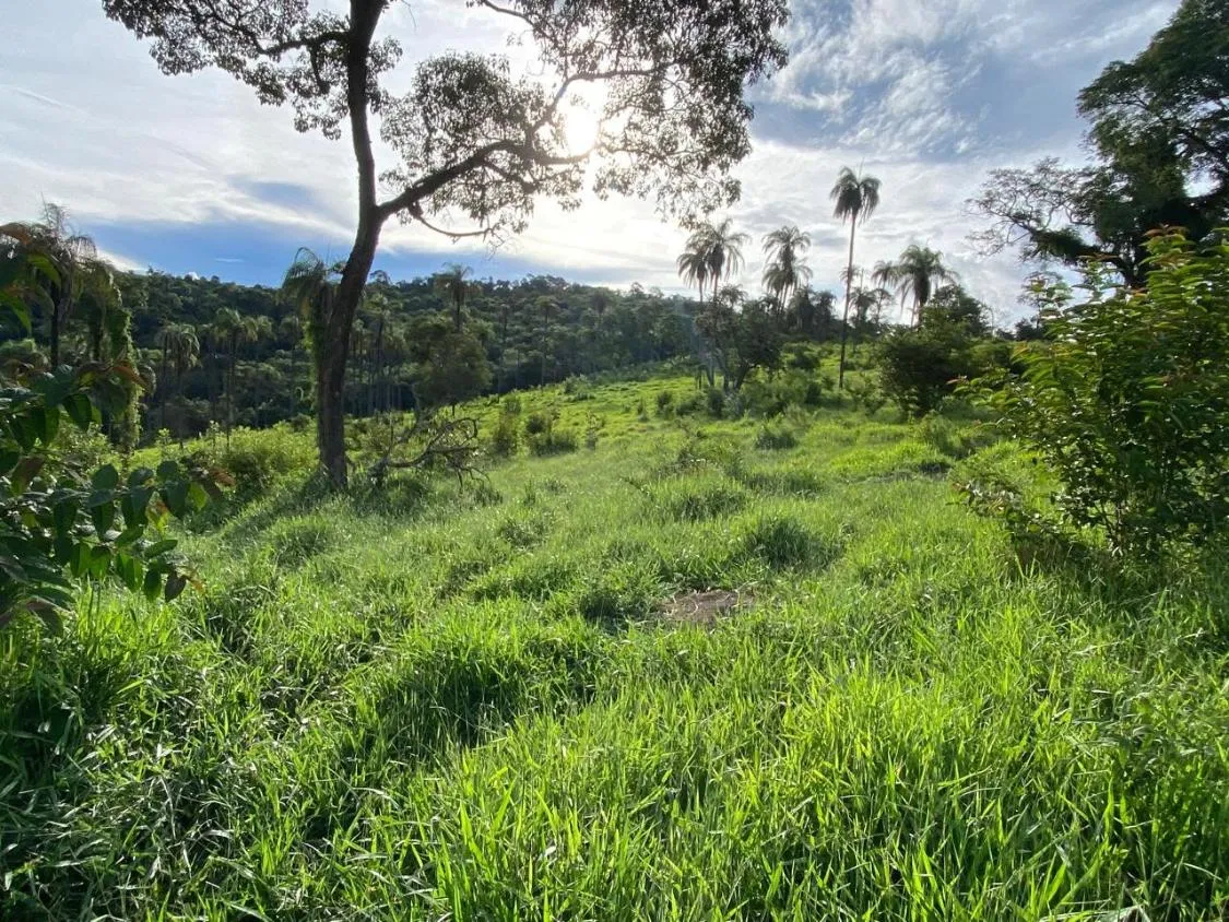 Imagem Excelente Terreno à Venda em Itaguara/MG: 19 Hectares com Fácil Acesso à BR-381