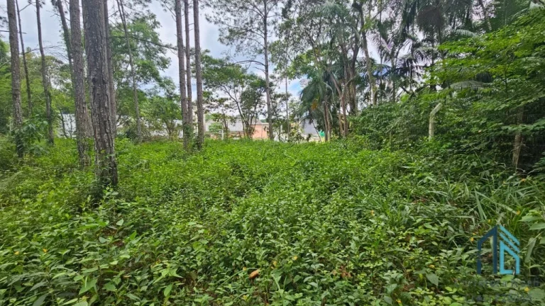 Imagem Terreno de Esquina a venda - Zona Industrial 7872 m2 em Blumenau SC