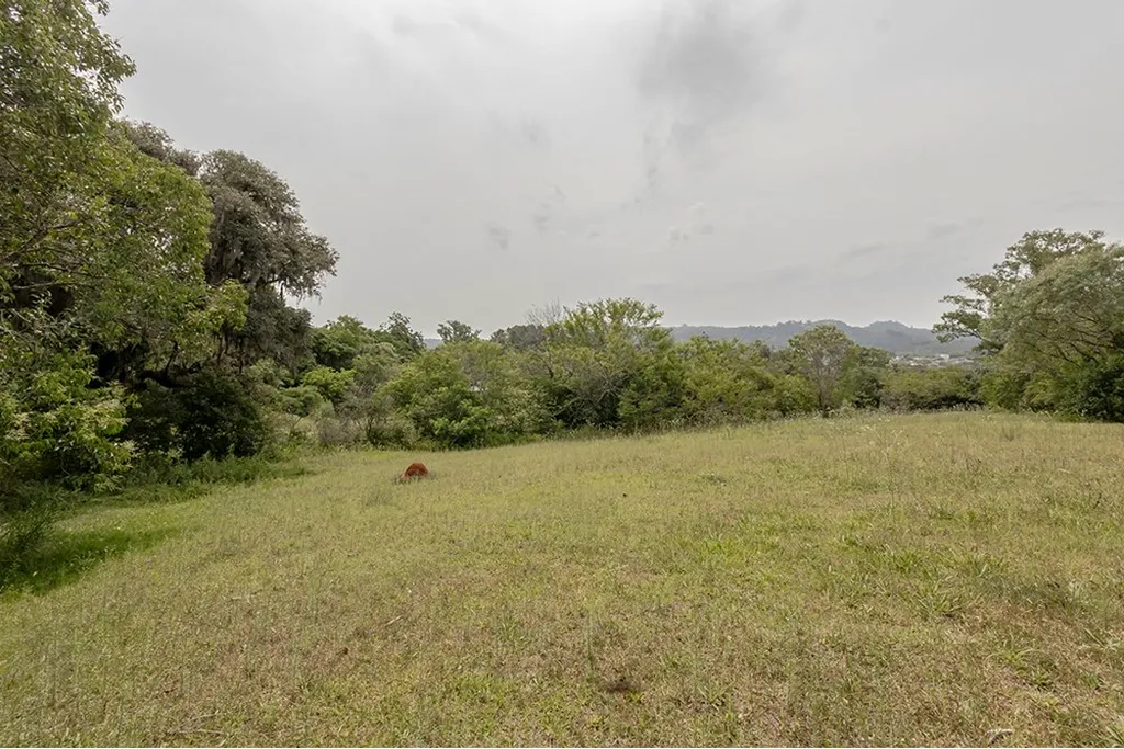 Imagem Terreno em Belém Velho