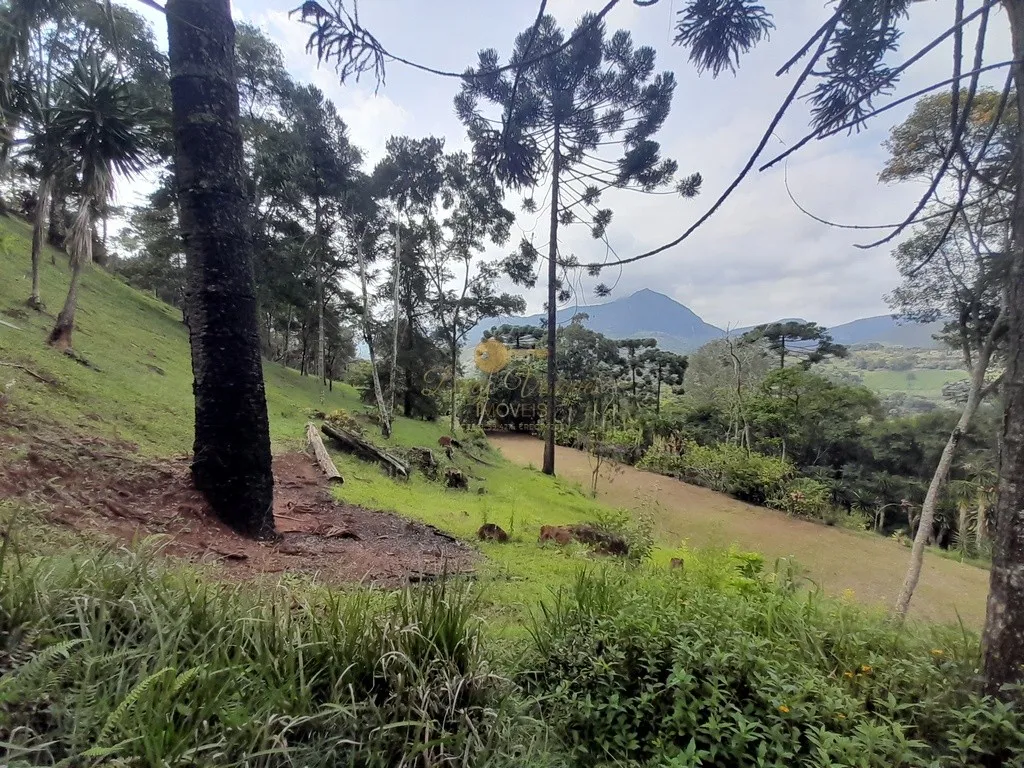 Imagem Sítio para Venda em Teresópolis / RJ no bairro Santa Rita