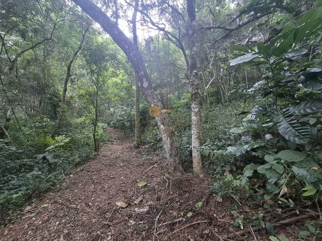 Imagem Terreno para Venda em Teresópolis / RJ no bairro Córrego das Pedras