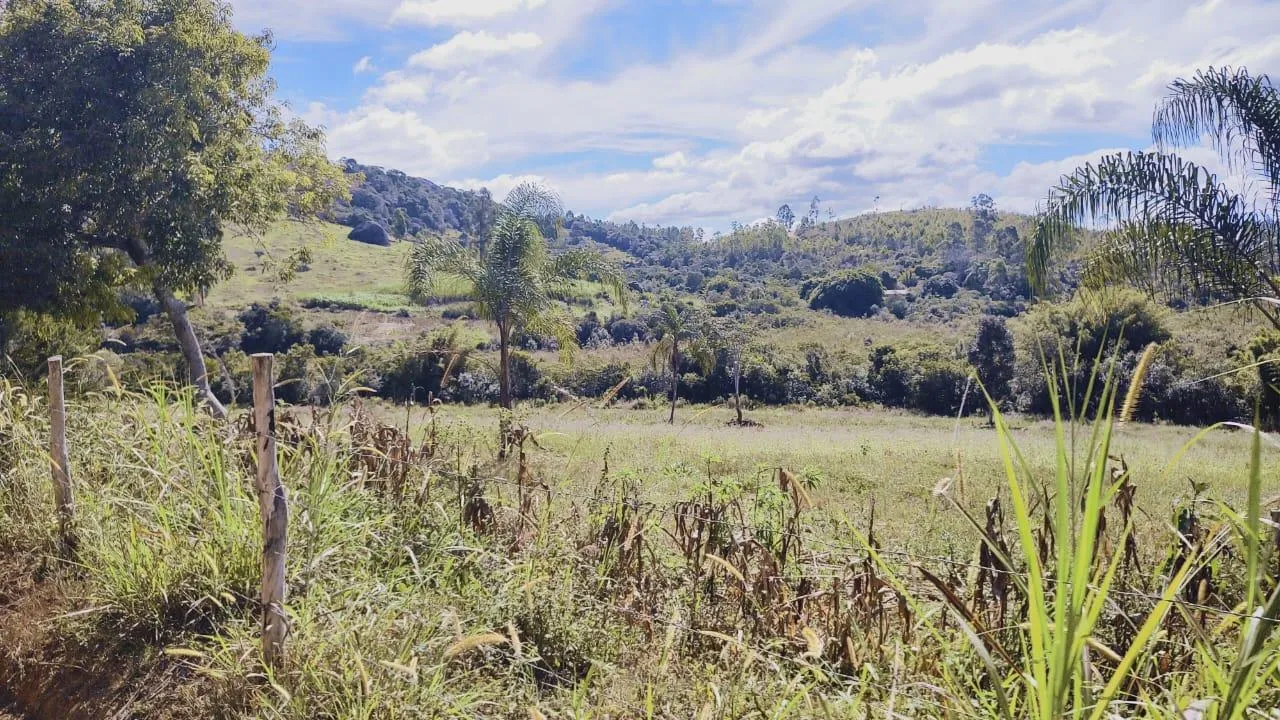 Imagem Excelente Terreno à Venda em Desterro de Entre Rios: 15 Hectares Totalmente Plano