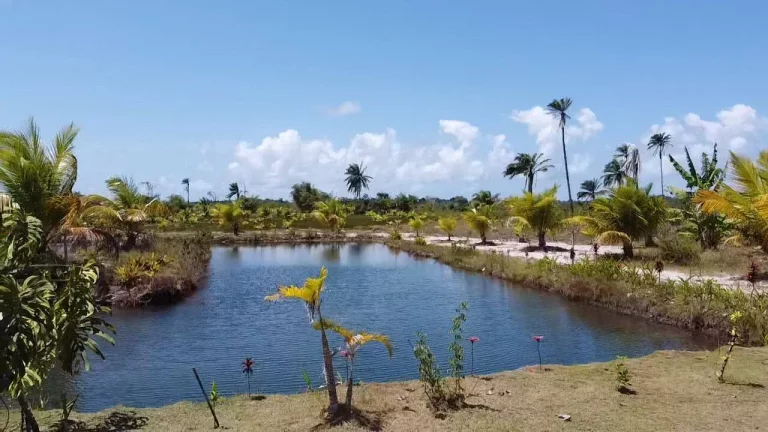 Foto do imóvel Sítio Taipu de Dentro