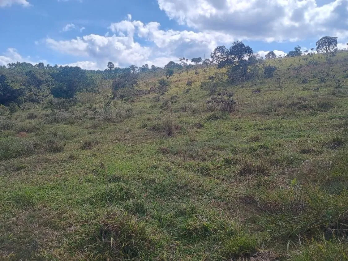 Imagem Excelente terreno rural com área de 10 hectares a venda em PASSA TEMPO/MG