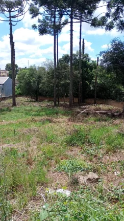 Imagem Área 1567m² - Estados - Fazenda Rio Grande - R$760mil