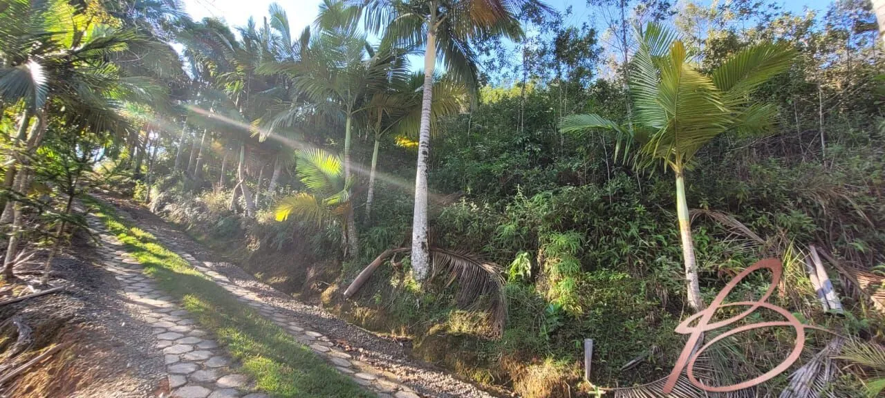Imagem Lindo Sítio em Ilhota - SC