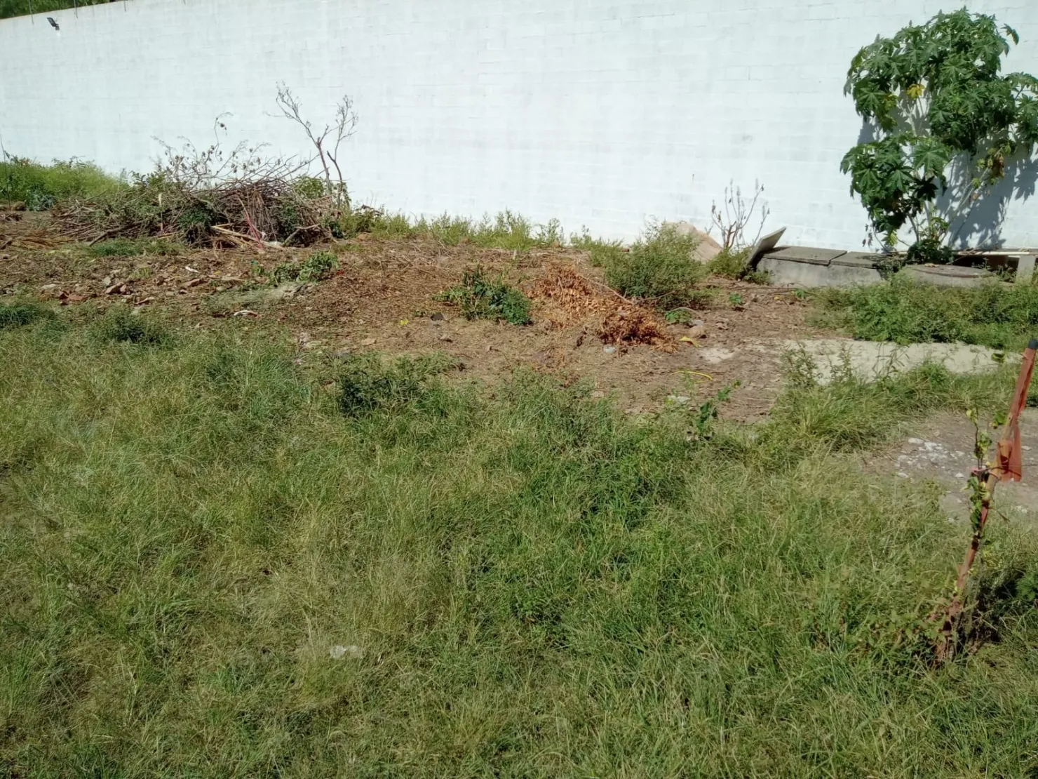 Foto do imóvel Terreno à venda 250M², Vila Suiça, Pindamonhangaba - SP