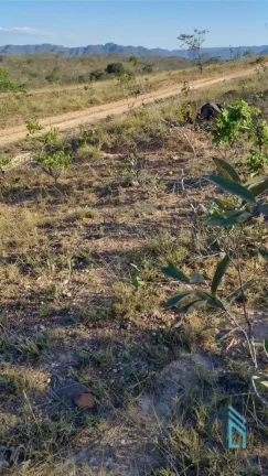 Imagem Fazenda a venda Oportunidade Única em Niquelândia Goiás- GO